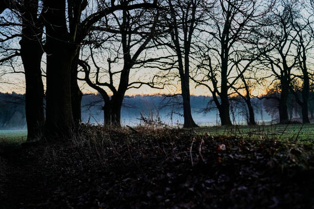 istock Landscape exposures Brandenburg, Germany 664699272