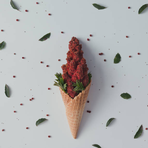 Ice cream cone with red flowers and leaves. Summer minimal concept. Flat lay.