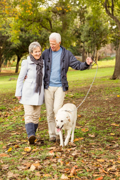 istock Senior couple in the park 664703920