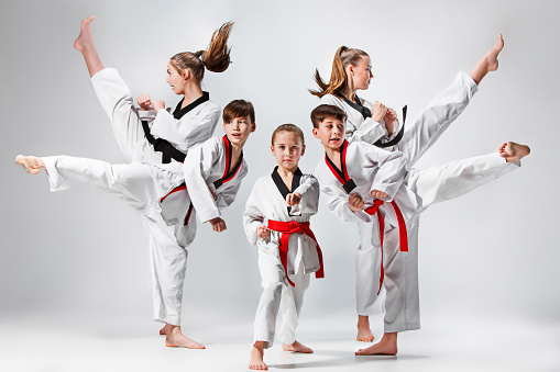 La toma de estudio del grupo de entrenamiento de artes marciales de karate niños photo