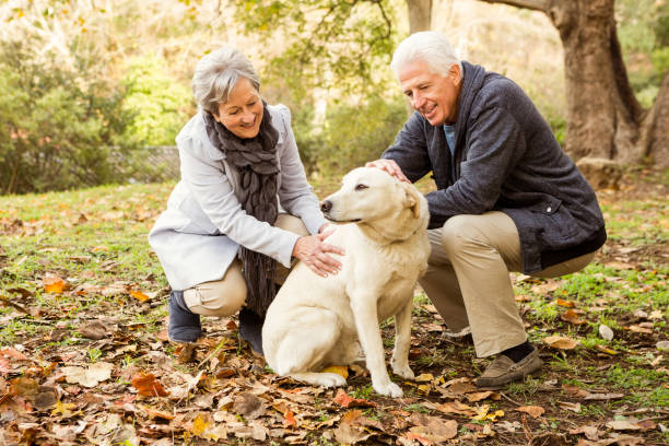 istock Senior couple in the park 664706496