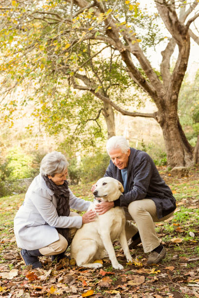 istock Senior couple in the park 664706656