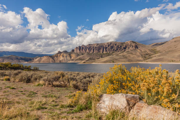 istock Blue Mesa Reservoir Colorado 664706672