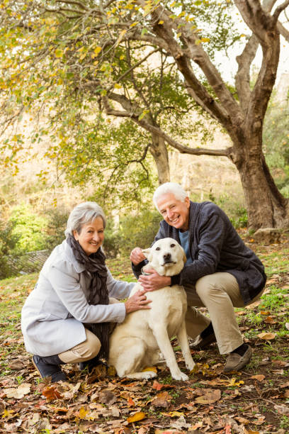istock Senior couple in the park 664706758