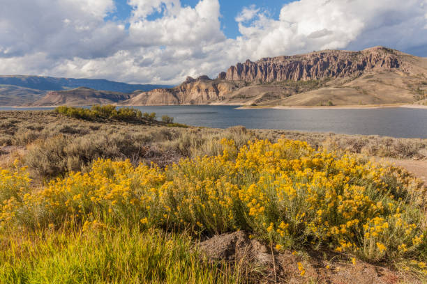 istock Blue Mesa Reservoir Colorado 664706852