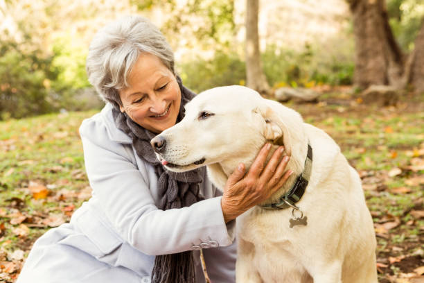 istock Senior woman in the park 664708014