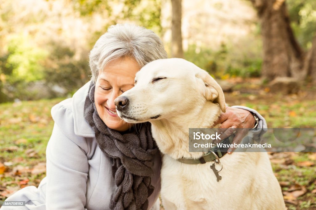 Senior Frau im park - Lizenzfrei Hund Stock-Foto