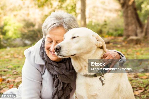 Mujer Senior En El Parque Foto de stock y más banco de imágenes de Perro - Perro, Tercera edad, Mujeres