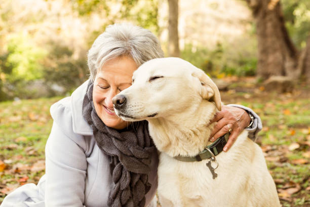 istock Senior woman in the park 664708182