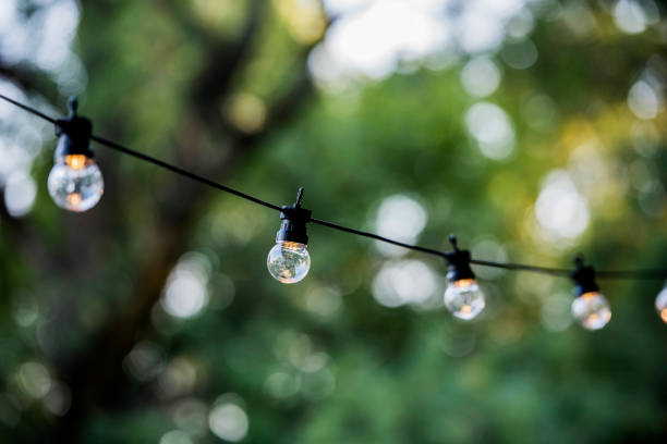 istock Light bulbs with a beautiful green forest background - summer in nature concept 664708312