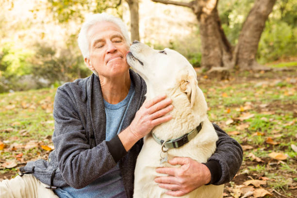 istock Senior man with his dog in park 664708568