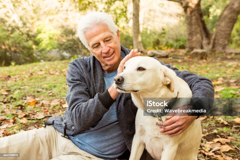 Senior man with his dog in park Senior man with his dog in park on an autumns day Dog Stock Photo