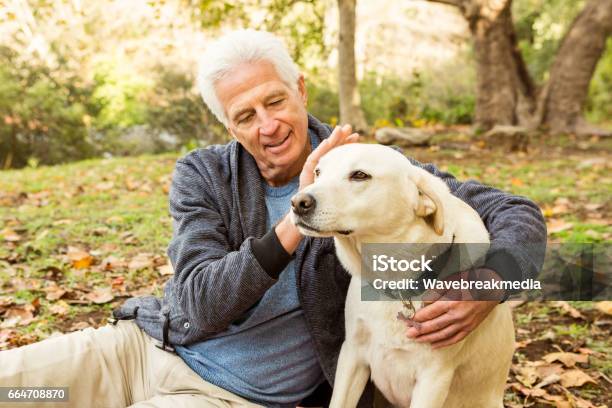 Senior Man With His Dog In Park Stock Photo - Download Image Now - Dog, Senior Men, Men