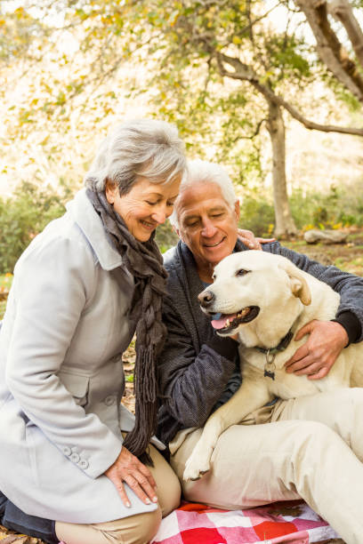 istock Senior couple in the park 664709168