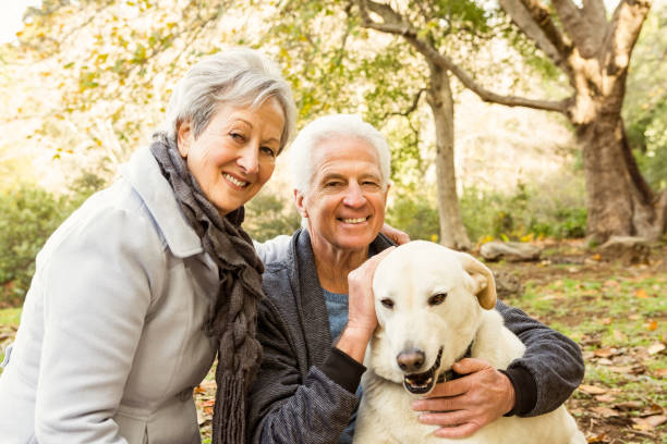 istock Senior couple in the park 664709334