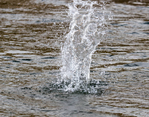 istock water splashing from a stone in the river 664709376