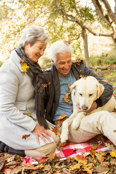 istock Senior couple in the park 664709490