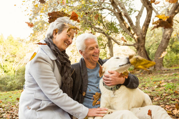 istock Senior couple in the park 664709626
