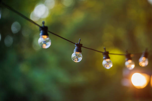 istock Light bulbs with a beautiful green forest background - summer in nature concept 664715550