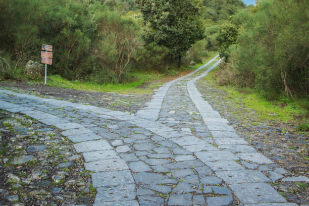 istock The road leads to a fork. Which do you choose? 664720070