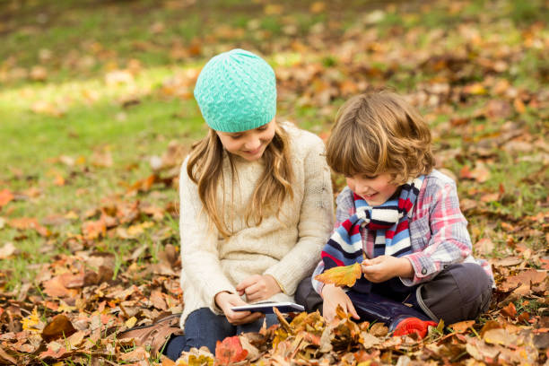 istock Happy siblings in the park 664722538