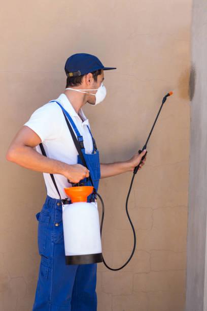 istock Man spraying pesticide on wall 664722622