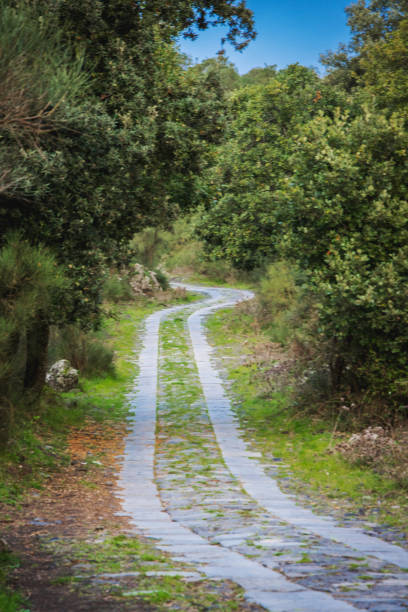 istock When you are connected with the nature.....where it leads the way? 664722774