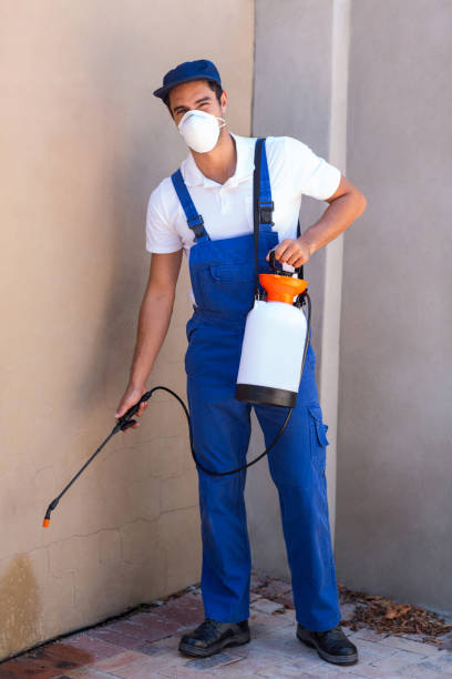 istock Portrait of worker spraying chemical on wall 664722878