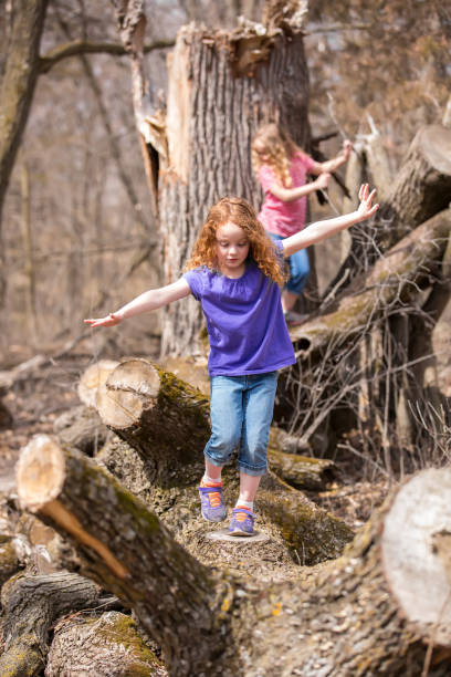 istock Two Young Girls Playing on Fallen Tree In Woods 664726990