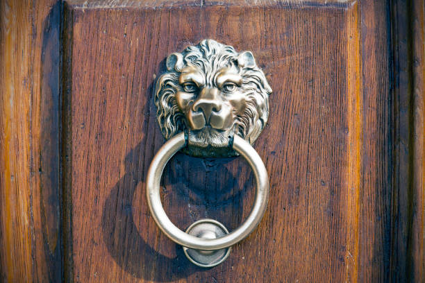istock Ancient Knocker in Italy, Lion Head Door Knocker 664727352