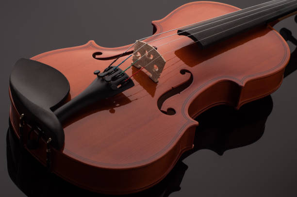 istock Violin musical instruments of orchestra closeup on black 664727666