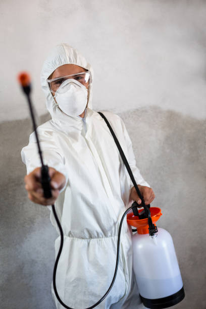 istock Portrait of manual worker holding crop spray 664728008
