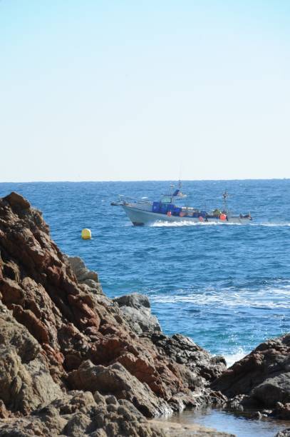 istock Waves / Surf on the Mediterranean - Spain 664728056
