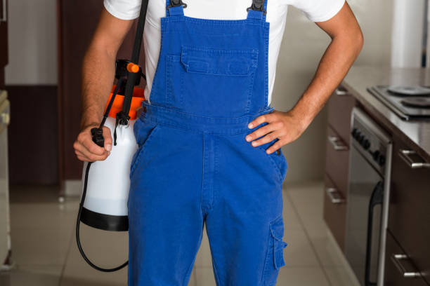 istock Midsection of pest worker with sprayer 664731740