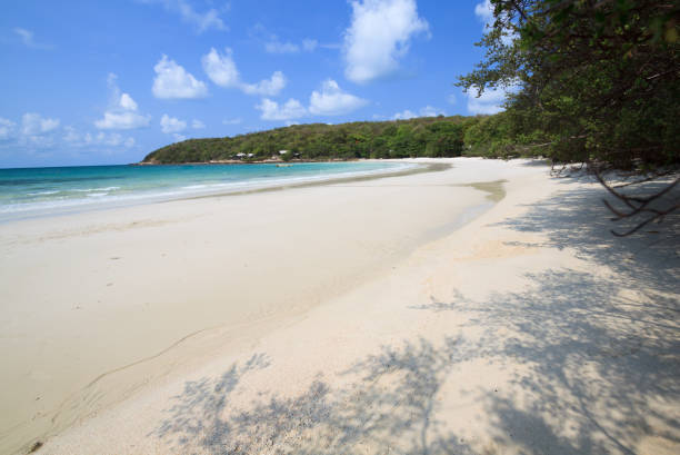 istock Beautiful beach with shadow tree at Samet Island, Thailand 664732512