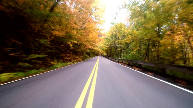driving for the foliage in new england