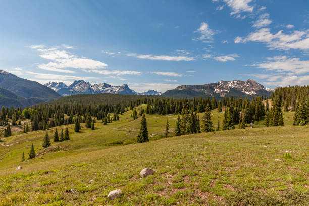 istock Summer in the Colorado Mountains 664742624