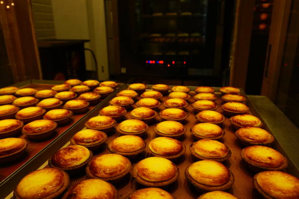 istock Egg tart (Tart - Dessert,) in hokkaido 664748936