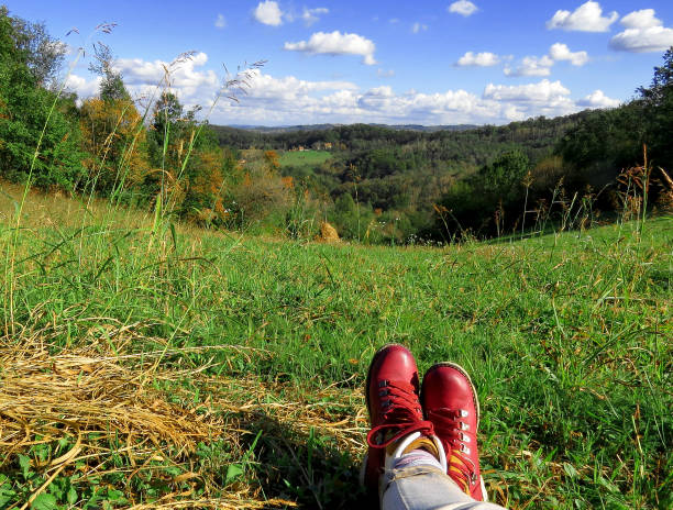 lying on a green meadow