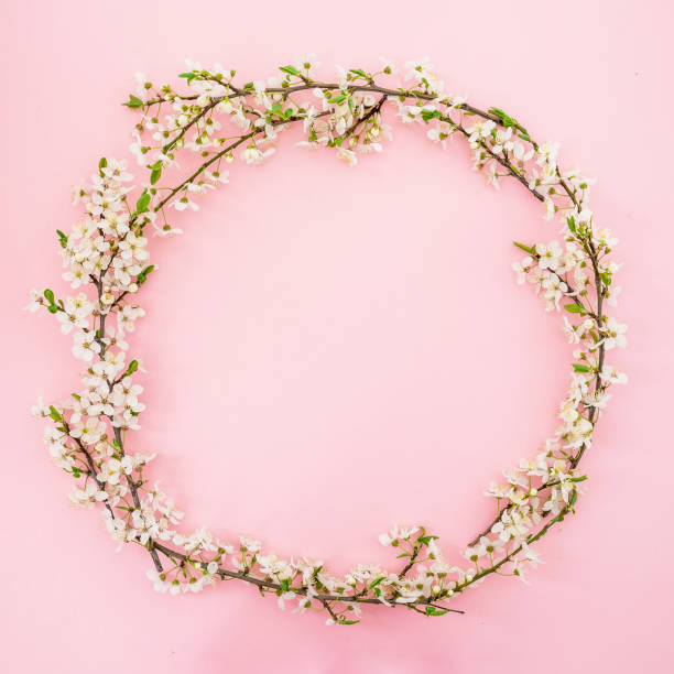 istock Floral frame of spring white flowers isolated on pink background. Flat lay, top view. Spring time background. 664757734