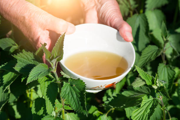istock Infusion of nettles 664760870