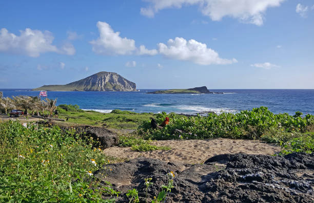 istock Rooster's View of Rabbit Island 664761826