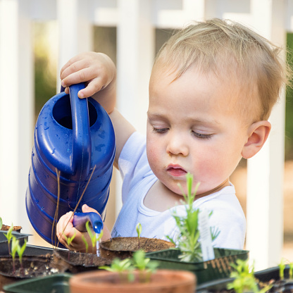 caucasian Baby boy watering the plants