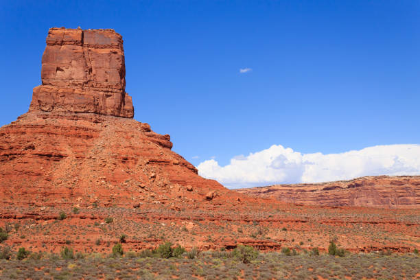 istock Valley of the Gods view 664768570