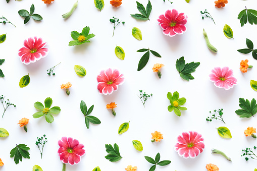 Colorful flowers and green leaves arrangement on white background.