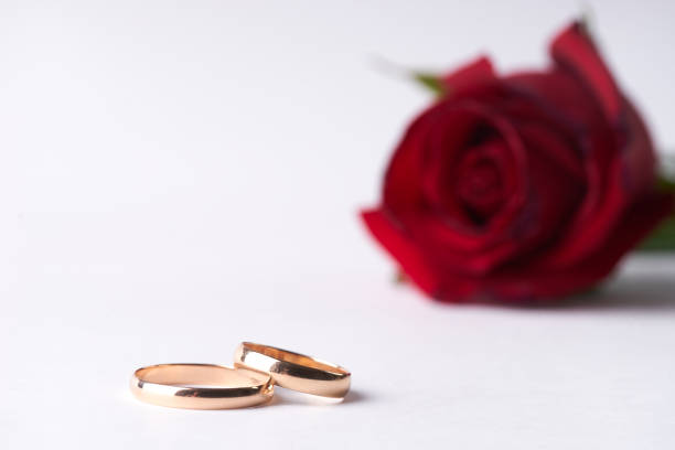 istock beautiful romantic red Rose with two wedding gold rings isolated on white background 664772358