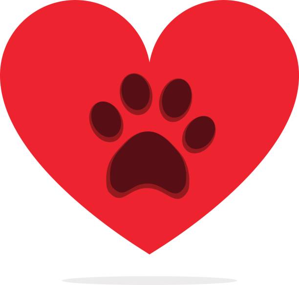 istock Animal paw in heart isolated on white love animals concept 664782882
