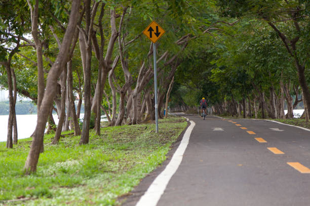 istock bicycle lane in the park 664786990