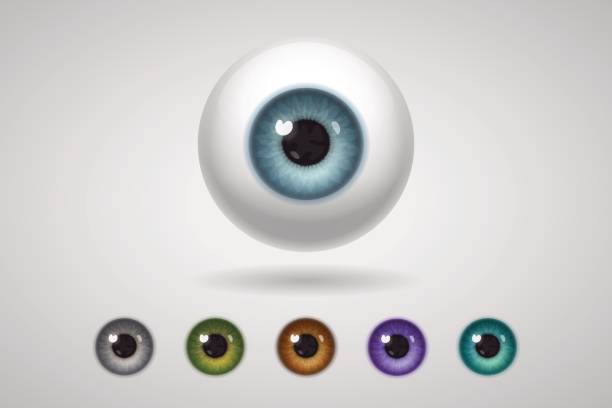 ilustraciones, imágenes clip art, dibujos animados e iconos de stock de eyeball y iris de colores - globo ocular