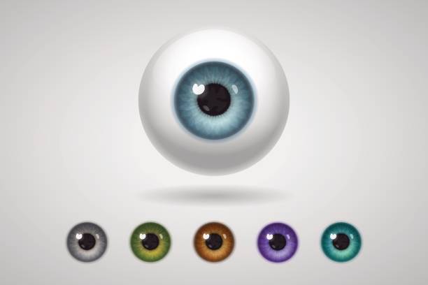 глазное яблоко и цветные ирисы - eyeball stock illustrations